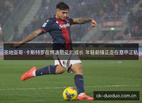 圣地亚哥·卡斯特罗在博洛尼亚的成长 年轻前锋正走在意甲正轨