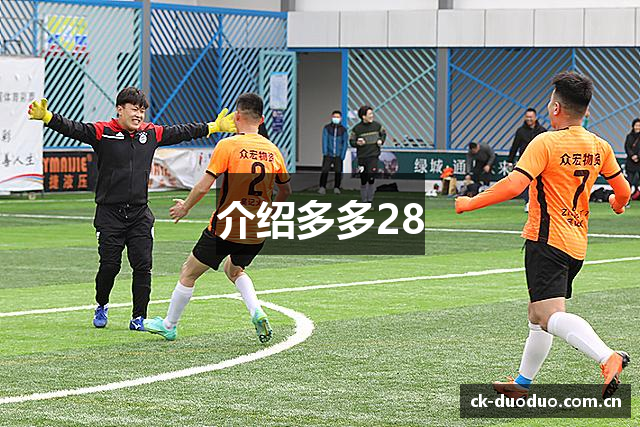 介绍多多28